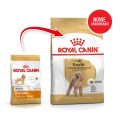 Royal Canin Poodle Adult 1,5kg