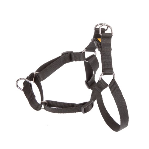 Dingo Szelki Easy Walk 1,6/60cm Czarne
