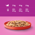 Whiskas Mokra Wołowina w sosie 24x400g