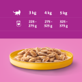 Whiskas Mokra Kurczak w sosie 24x400g