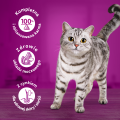 Whiskas Mokra Kurczak w sosie 24x400g