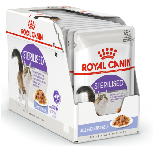 Royal Canin FHN Sterilised w galaretce 12x85g
