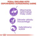 Royal Canin FHN Sterilised w galaretce 12x85g