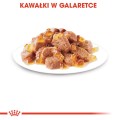 Royal Canin FHN Sterilised w galaretce 12x85g