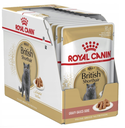Royal Canin FBN British Shorthair 12x85g