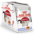 Royal Canin FHN Instinctive w galaretce 12x85g