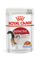 Royal Canin FHN Instinctive w galaretce 12x85g