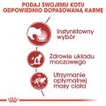 Royal Canin FHN Instinctive w sosie 12x85g
