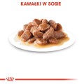 Royal Canin FHN Instinctive w sosie 12x85g