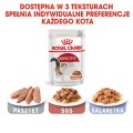 Royal Canin FHN Instinctive w sosie 12x85g
