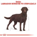 Royal Canin Labrador Sterilised Adult 12kg