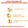 Royal Canin Pug Adult 1,5kg
