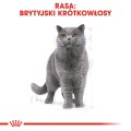 Royal Canin FBN British Shorthair 12x85g