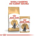 Royal Canin FBN British Shorthair 12x85g