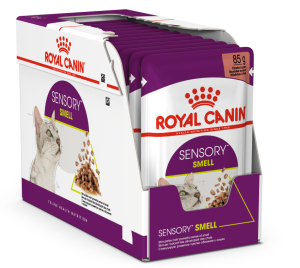 Royal Canin FHN Sensory Smell  w sosie 12x85g