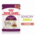 Royal Canin Sensory Smell w sosie 12x85g
