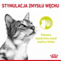 Royal Canin Sensory Smell w sosie 12x85g