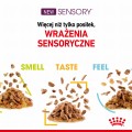 Royal Canin Sensory Smell w sosie 12x85g
