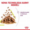 Royal Canin Sensory Smell w sosie 12x85g