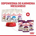 Royal Canin Sensory Smell w sosie 12x85g
