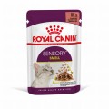 Royal Canin Sensory Smell w sosie 12x85g