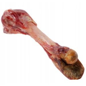 Zolux  Kość z Szynki Parmeńskiej L 370g