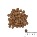 VetExpert Raw Paleo Healthy Grain Salmon Barley Puppy 10kg