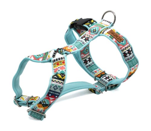 KENDOG Azteki Szelki Guard S 2cm 35-50cm