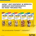 ADTAB 112,5mg 2,5 - 5,5kg Tabletka na kleszcze
