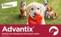 ELANCO Advantix Spot-On Pies 25 - 40kg