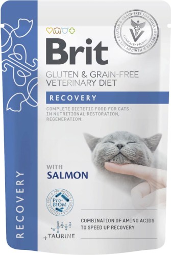 Brit Veterinary Cat Pouch Recovery 85g