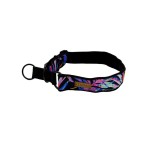 KENDOG Magia Koloru Półzacisk Obroża M 4cm 41-62 cm