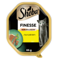 Sheba Tacka Pasztet Finesse Kurczak 22x85g