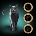 Sheba Tacka Pasztet Finesse Łosoś 22x85g