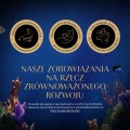 Sheba Tacka Sos Sauce Collection Tuńczyk 22x85g