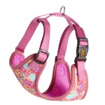 Dingo Szelki Bezuciskowe XS Jungle