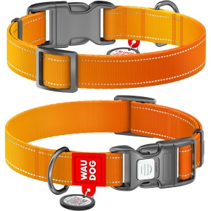 WAUDOG Obroża Nylon z QR Mono Pomarańczowy M 20mm  28-40cm