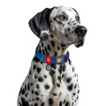 WAUDOG Obroża Nylon z QR Mono Niebieski L 33-49cm