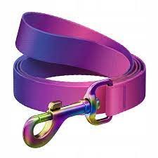 WAUDOG Smycz Nylon Fioletowa Gradient S 15mm 122cm