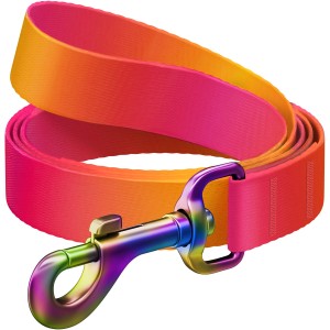 WAUDOG Smycz Nylon Pomarańczowa Gradient L-XXL 25mm 122cm