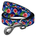 WAUDOG Smycz Nylon Figa S 15mm 122cm