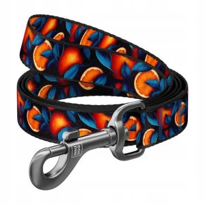 WAUDOG Smycz Nylon Pomarańcze M 20mm 122cm