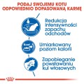 Royal Canin Indoor 4kg