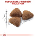 Royal Canin Indoor 4kg