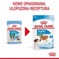 Royal Canin SHN Mini Puppy 12x85g