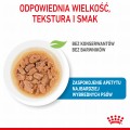 Royal Canin SHN Mini Puppy 12x85g