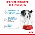 Royal Canin SHN Mini Puppy 12x85g