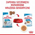Royal Canin SHN Mini Puppy 12x85g