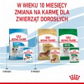 Royal Canin SHN Mini Puppy 12x85g