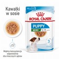 Royal Canin SHN Mini Puppy 12x85g